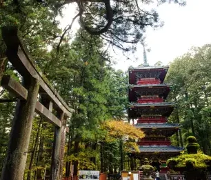 Nikko